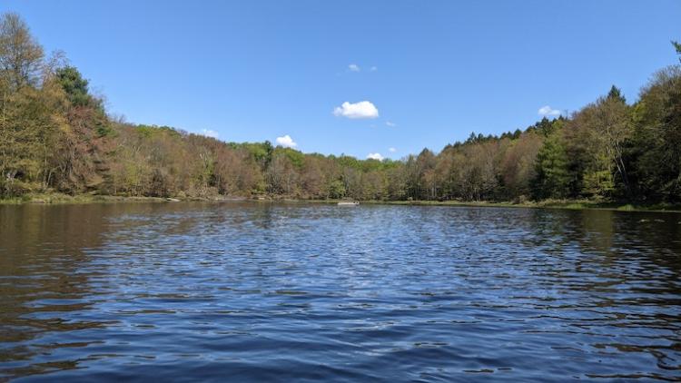 Ramble On campsite in Bethel NY